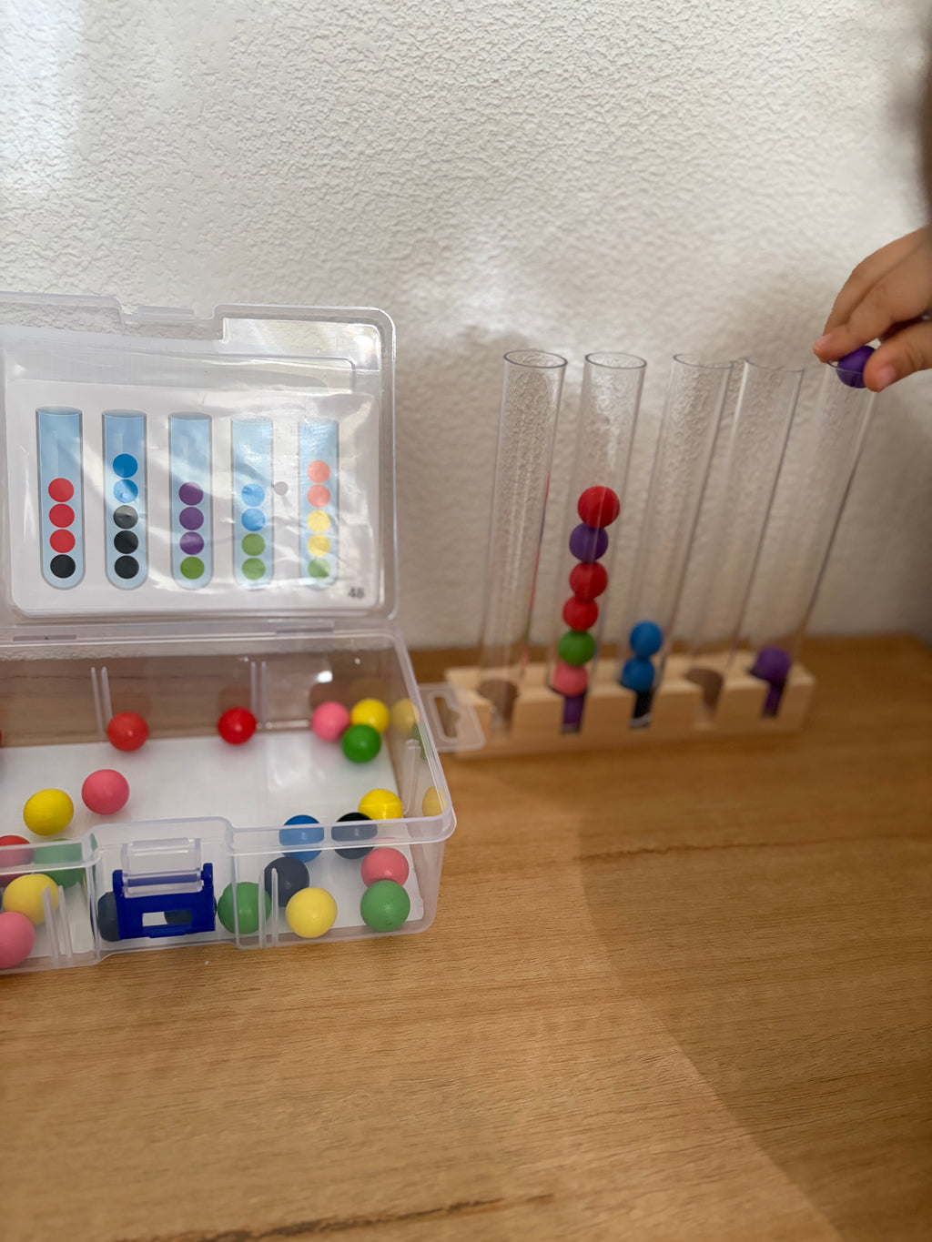 Jeu de Tri des Couleurs Montessori – Motricité Fine & Logique