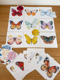 Jeu d’association papillons – 20 cartes + 20 mini cartes assorties