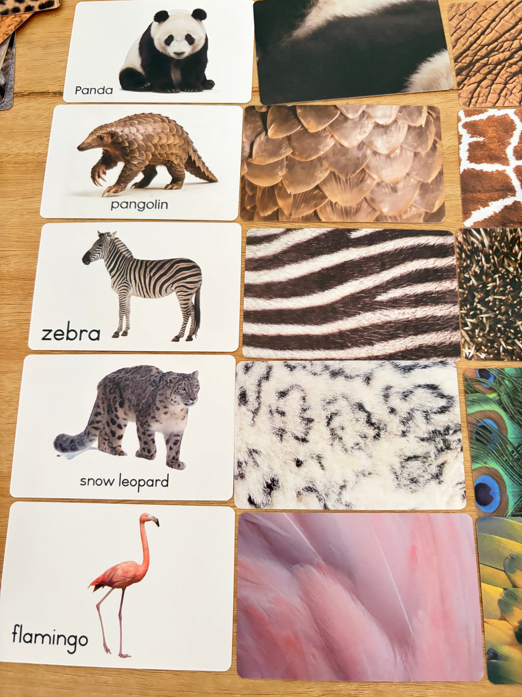 Jeu de cartes d’association Montessori – Animaux