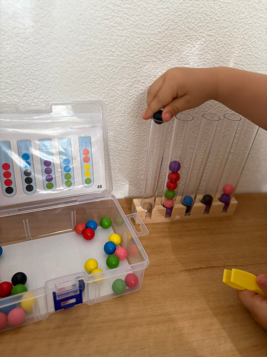 Jeu de Tri des Couleurs Montessori – Motricité Fine & Logique