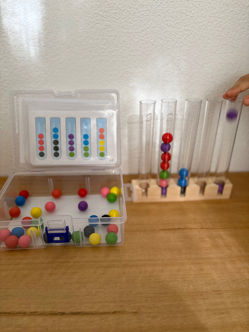 Jeu de Tri des Couleurs Montessori – Motricité Fine & Logique