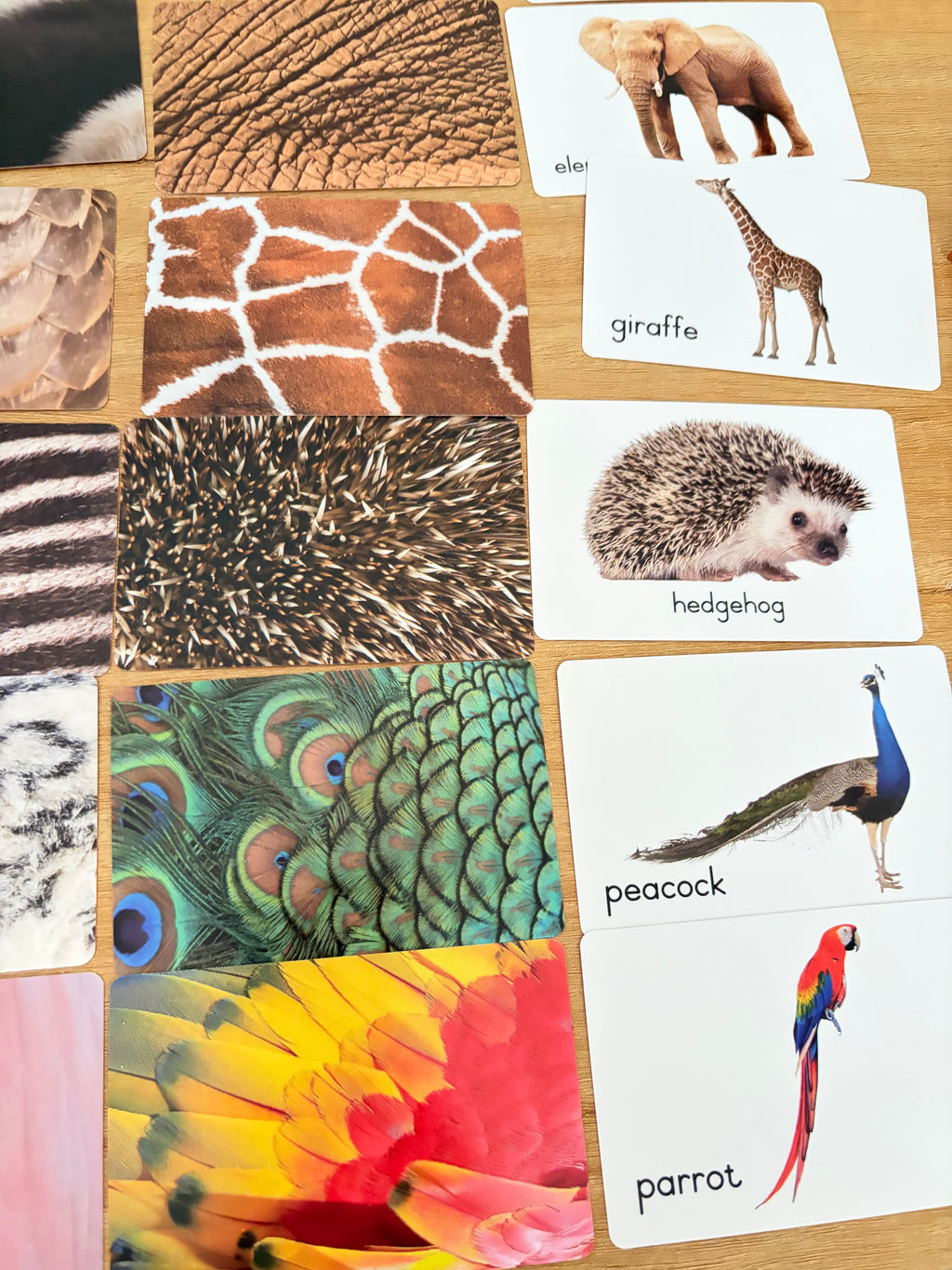 Jeu de cartes d’association Montessori – Animaux