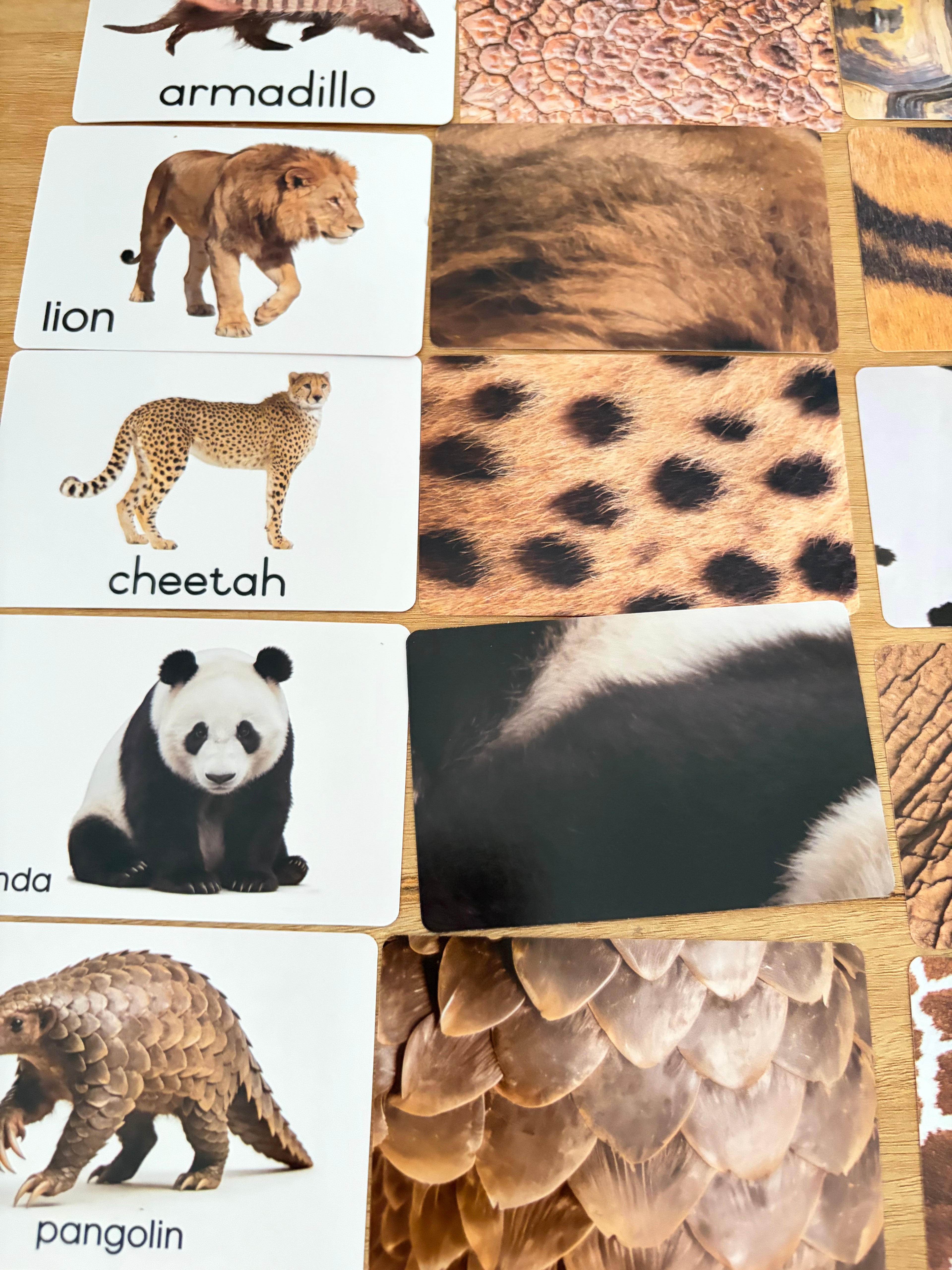 Jeu de cartes d’association Montessori – Animaux