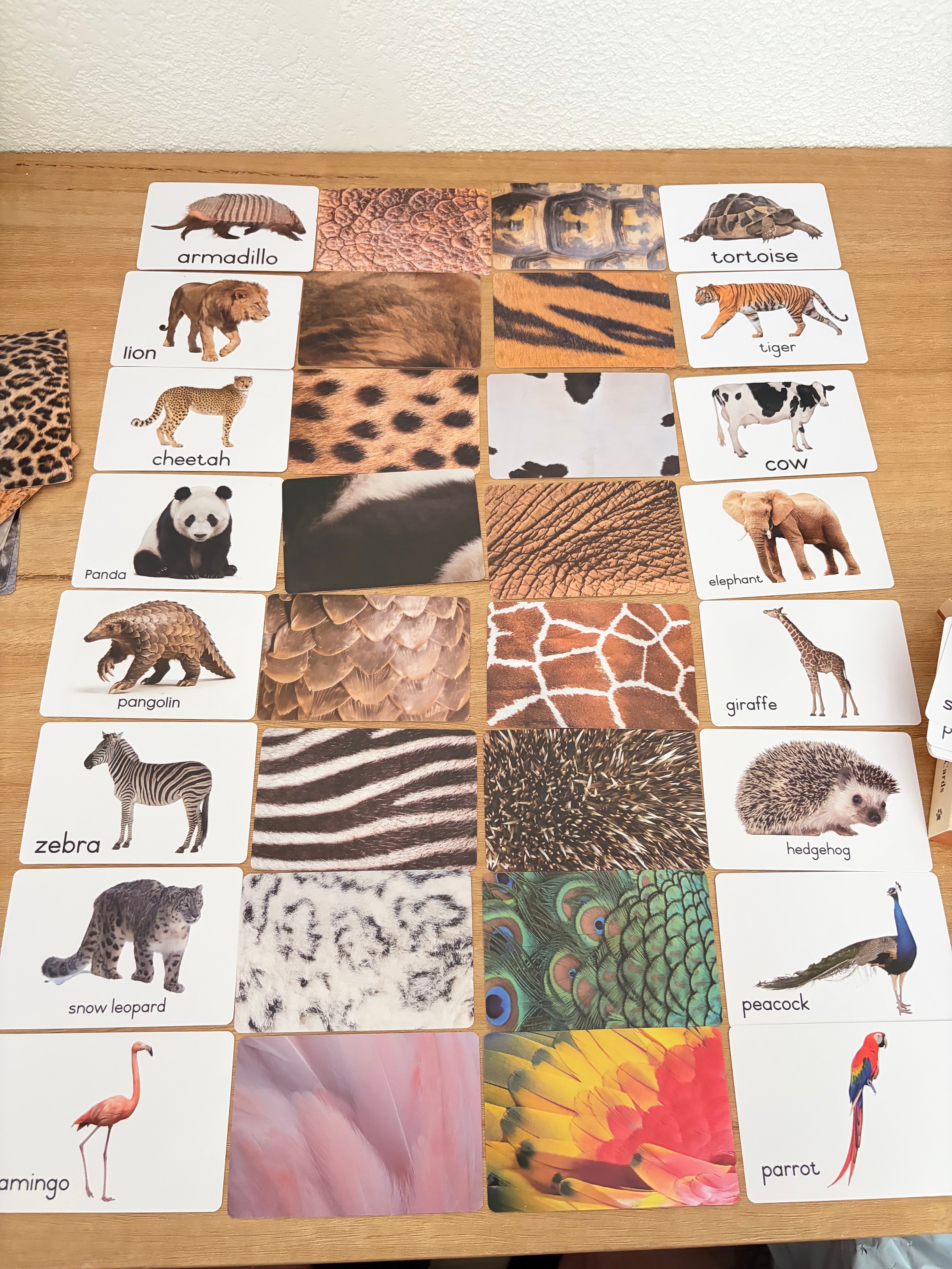 Jeu de cartes d’association Montessori – Animaux