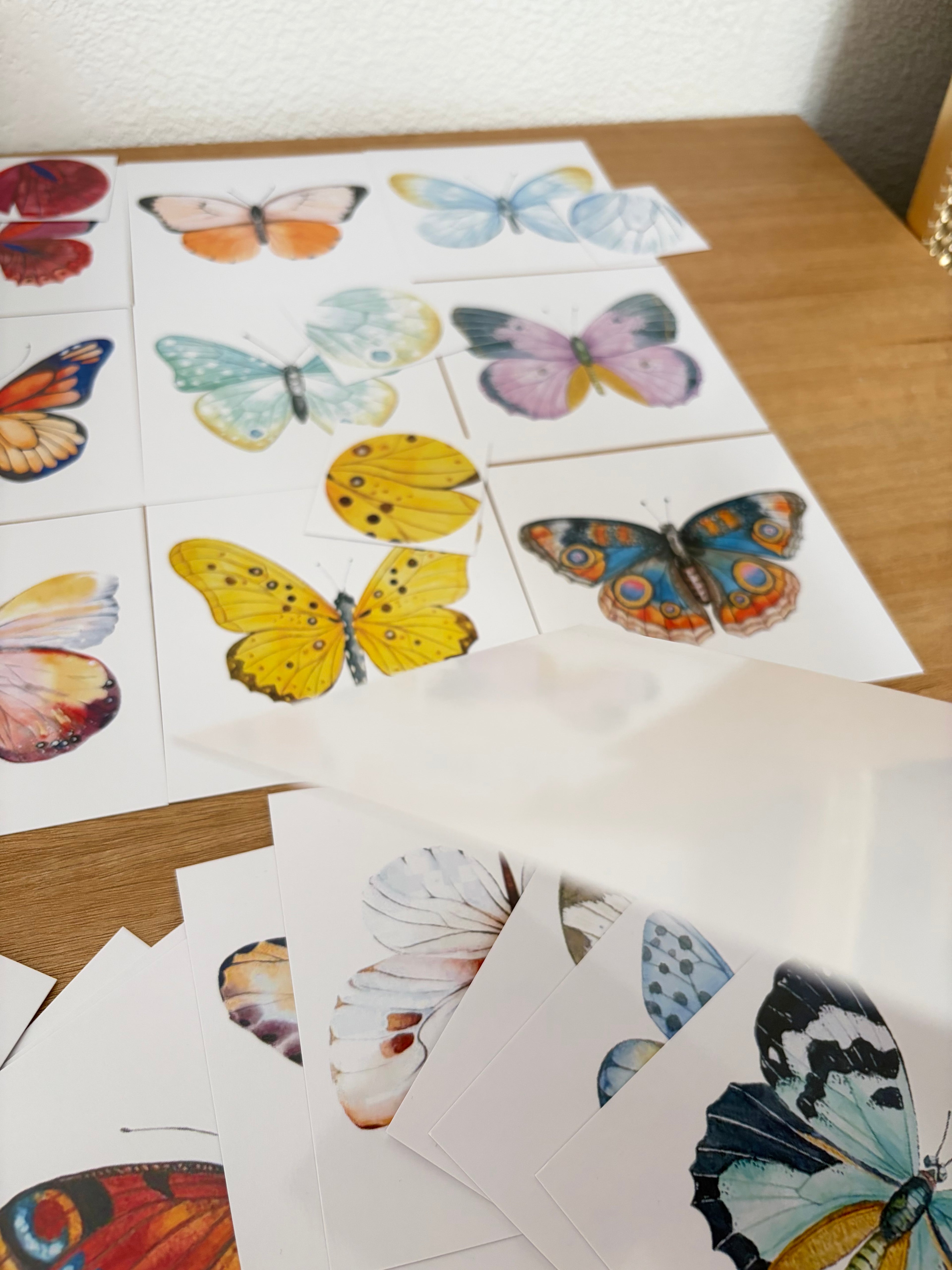 Jeu d’association papillons – 20 cartes + 20 mini cartes assorties