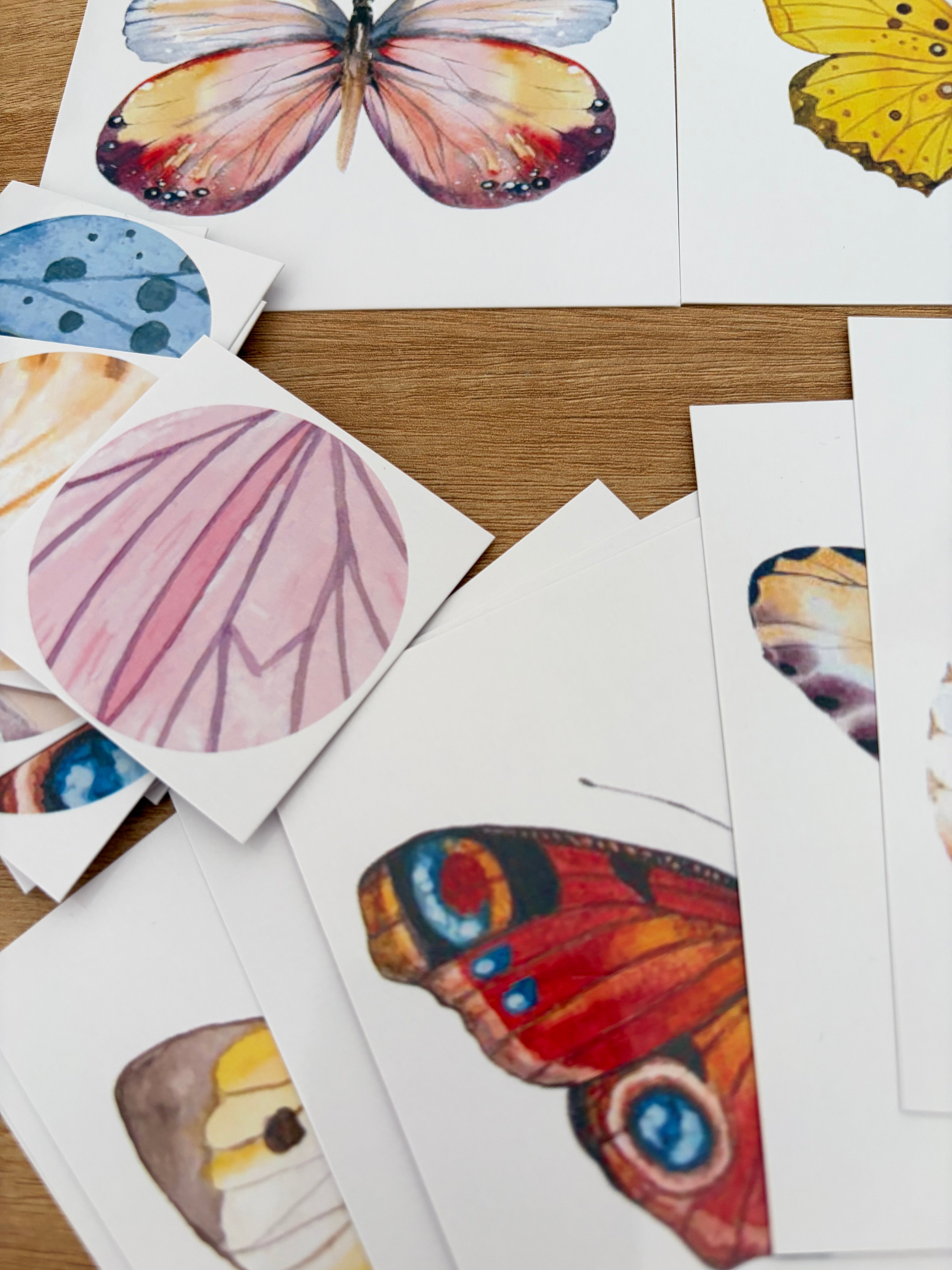 Jeu d’association papillons – 20 cartes + 20 mini cartes assorties