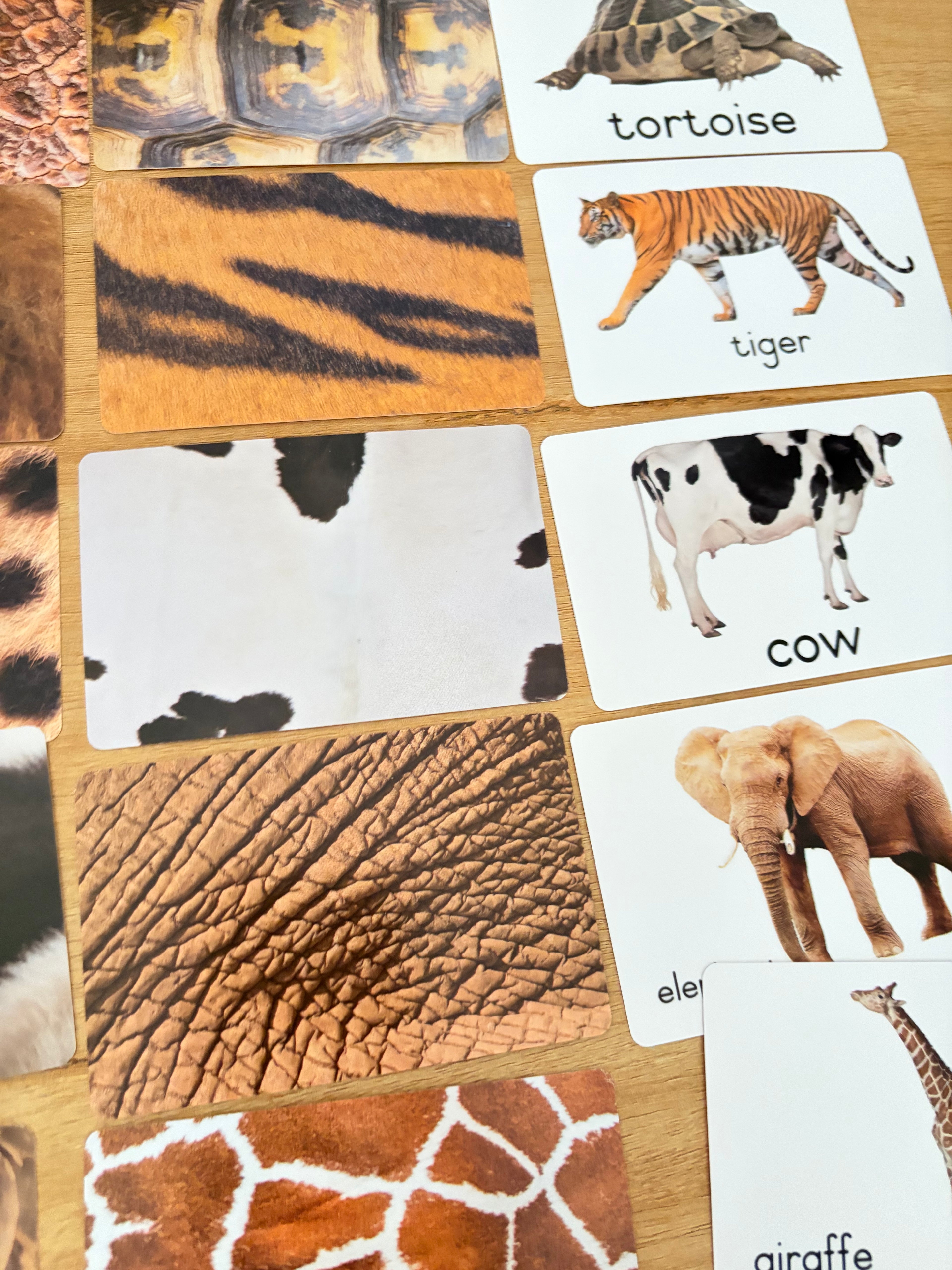 Jeu de cartes d’association Montessori – Animaux